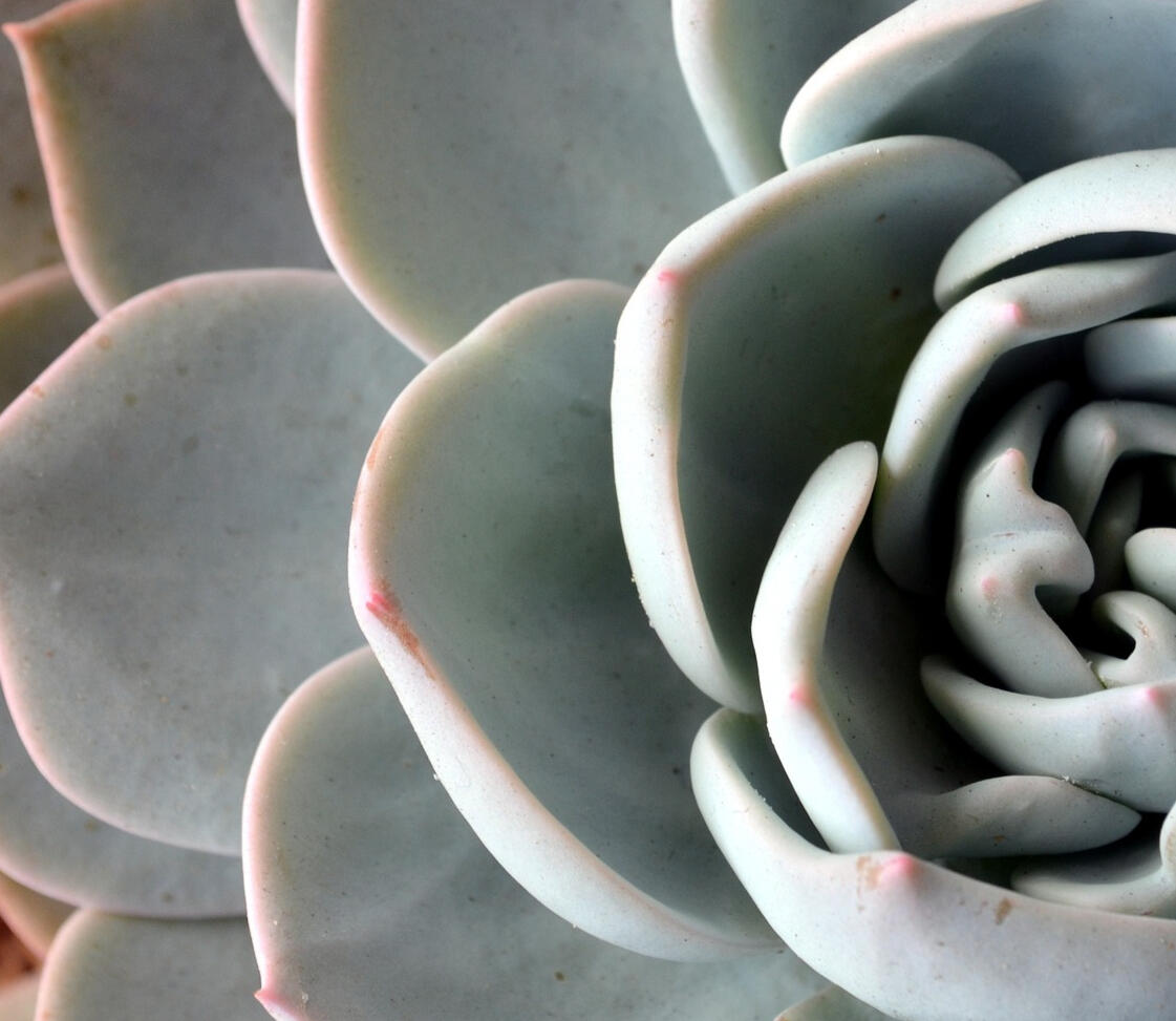 Simplicity of Breath